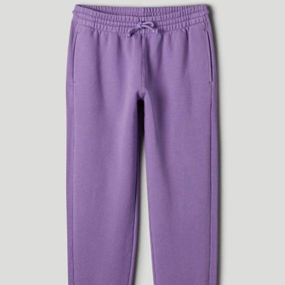 Aritzia Cozy Fleece Boyfriend Pant